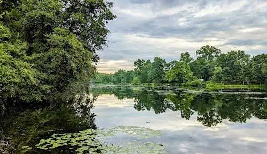 Alcyon Lake Pitman NJK