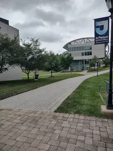 Thomas Jefferson University East Falls Philadelphia The Avenue