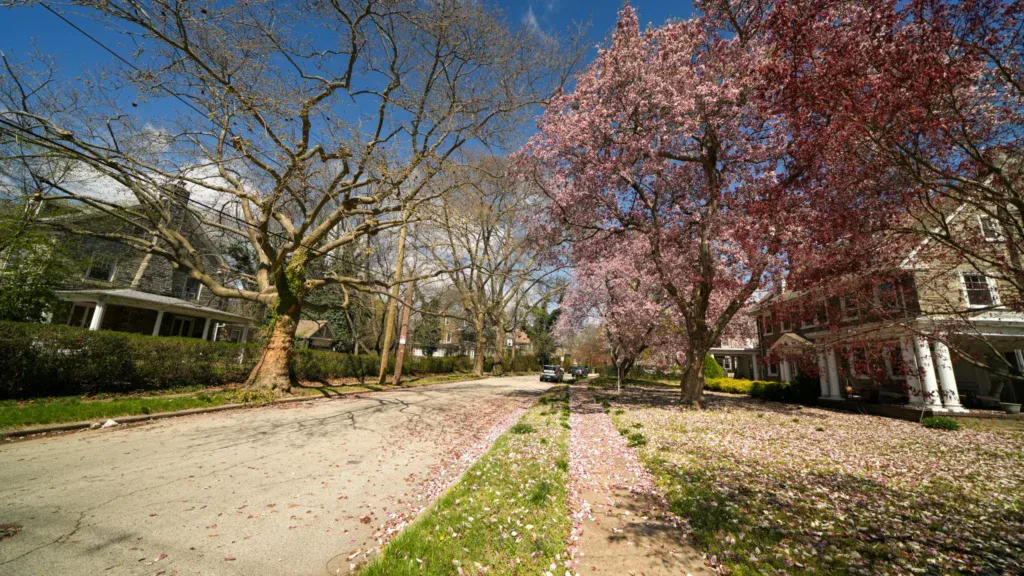Fairview Arms Apartments Philadelphia