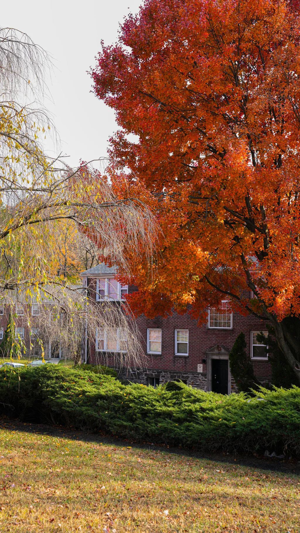 Wynnefield Terrace Apartments Philadelphia