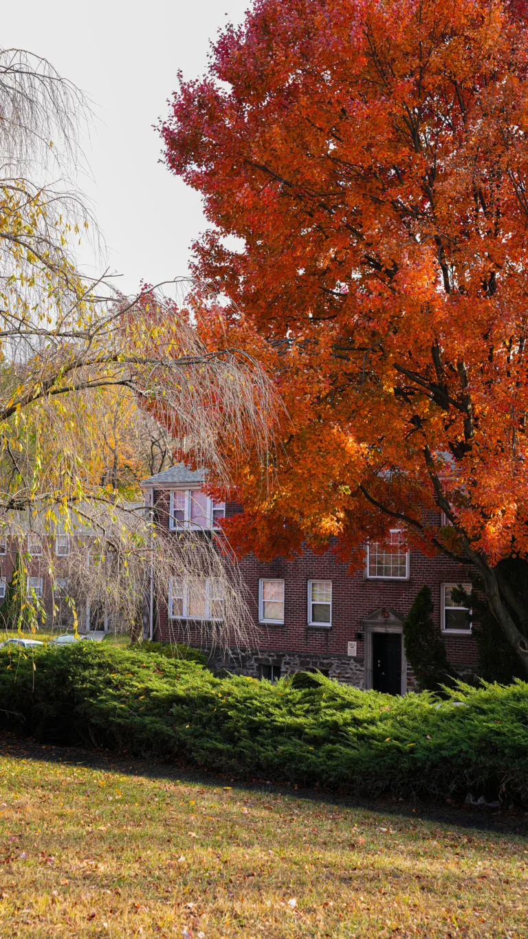 Wynnefield Terrace Apartments Philadelphia